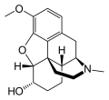 Thumbnail for version as of 03:18, 8 March 2026
